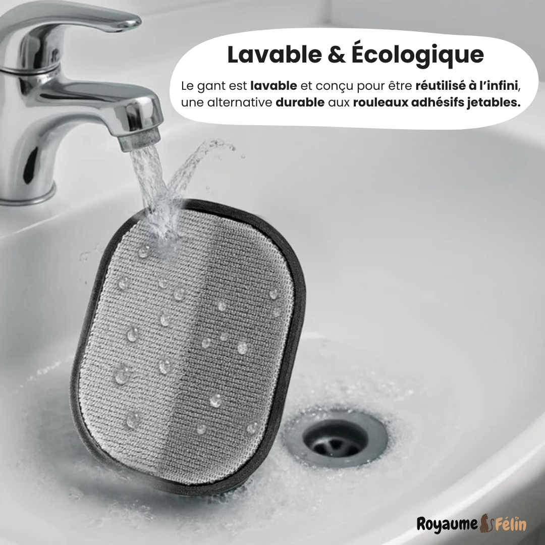 Gant statique anti-poils