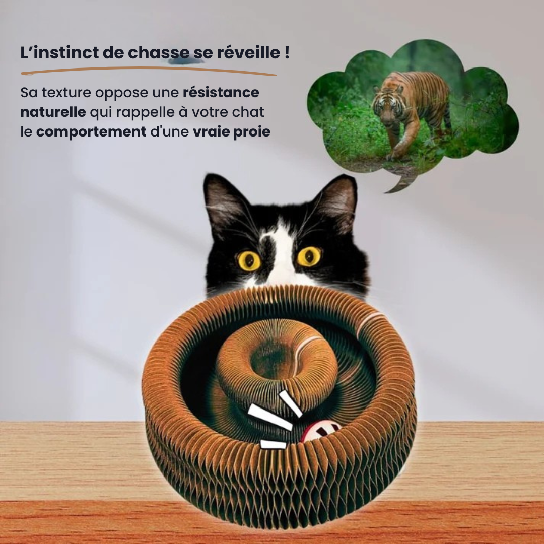KittySpin™ | Griffoir interactif pour chats