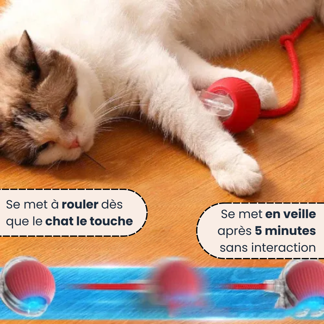 SmartBall™ - Jouet Interactif pour Chats