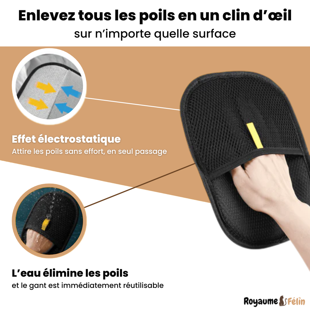 Gant Anti-Poils Réutilisable et Écologique