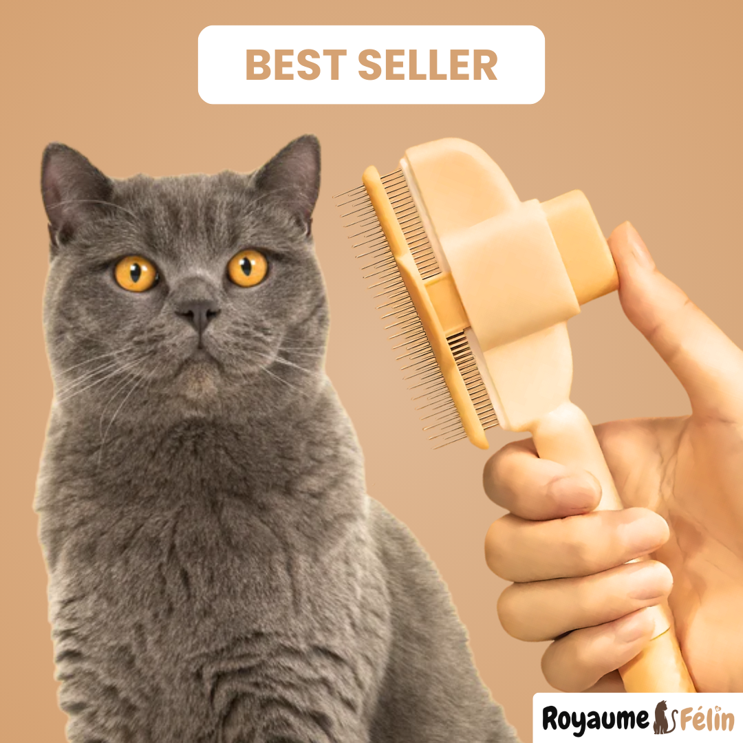 SmartBrush™ – Brosse anti-poils morts