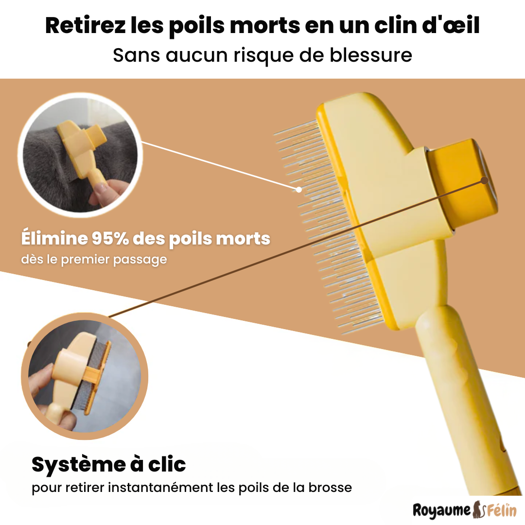 SmartBrush™ – Brosse anti-poils morts