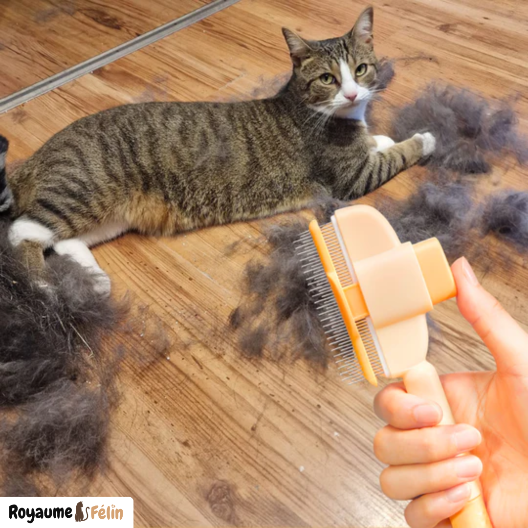 SmartBrush™ – Brosse anti-poils morts