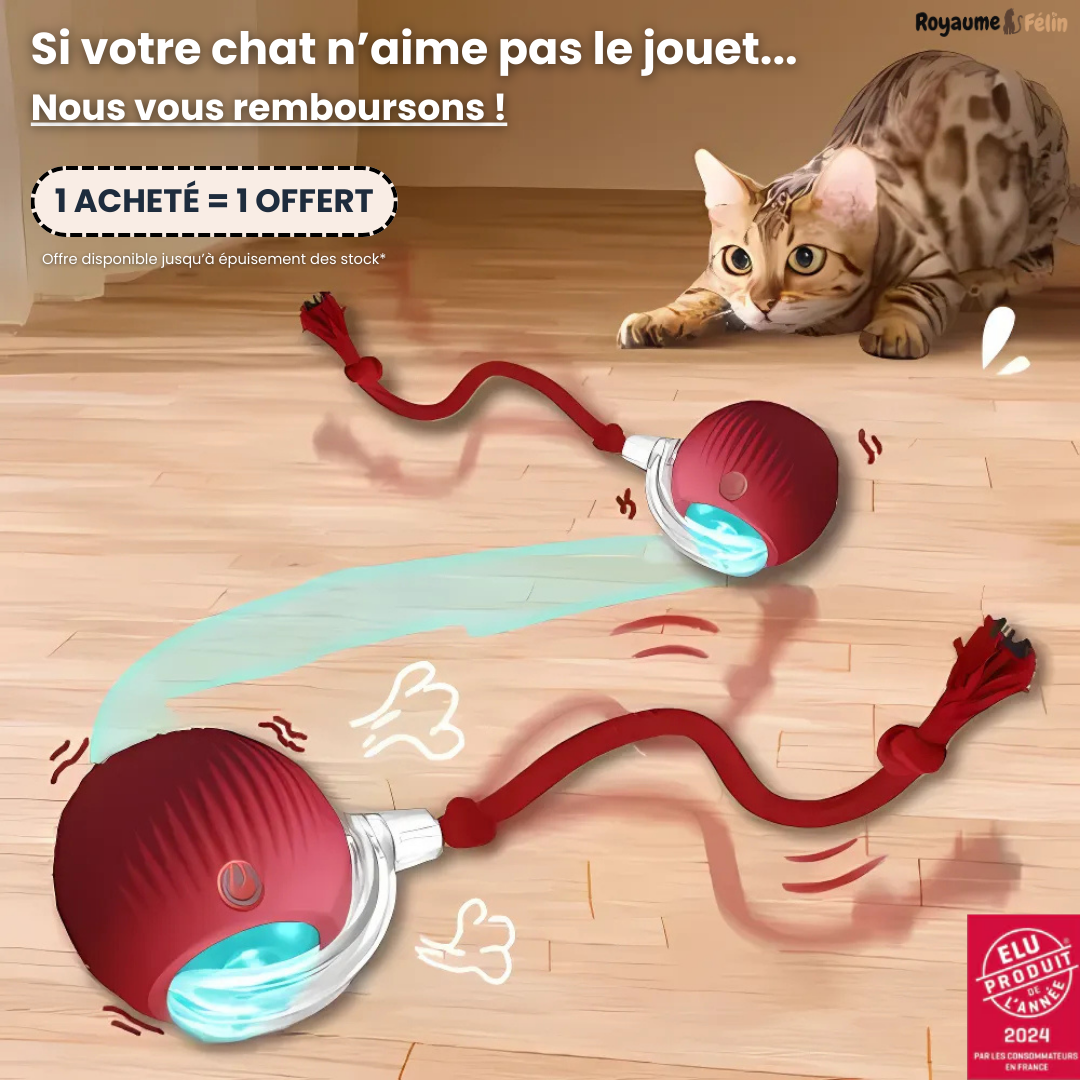 SmartBall™ - Jouet Interactif pour Chats