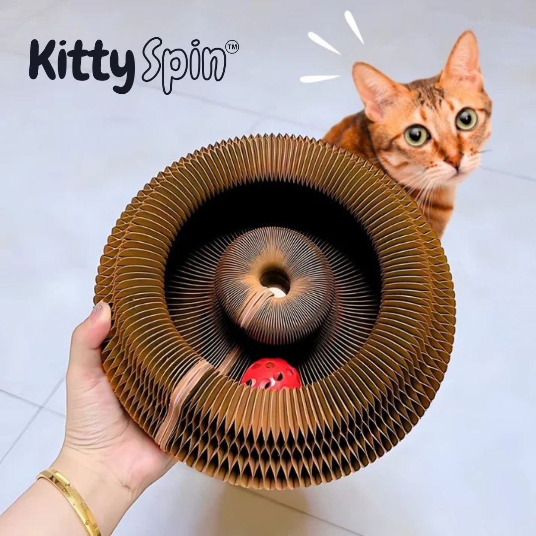 KittySpin™ | Jouet interactif pour chats