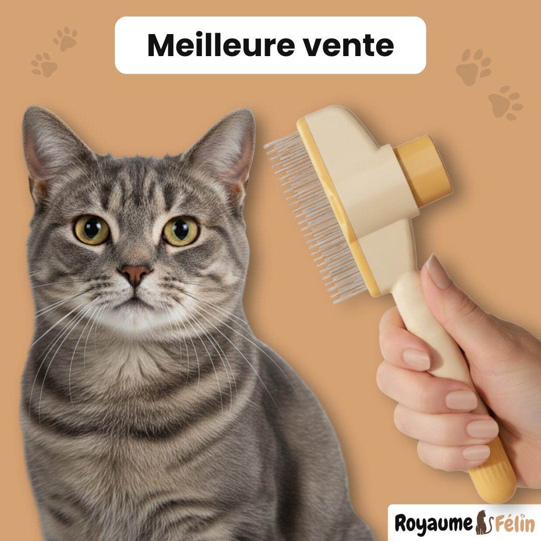 SmartBrush™ – Brosse anti-poils morts
