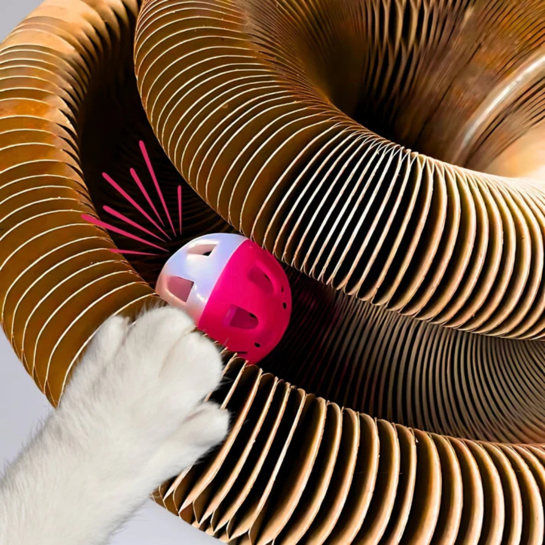 KittySpin™ | Jouet interactif pour chats