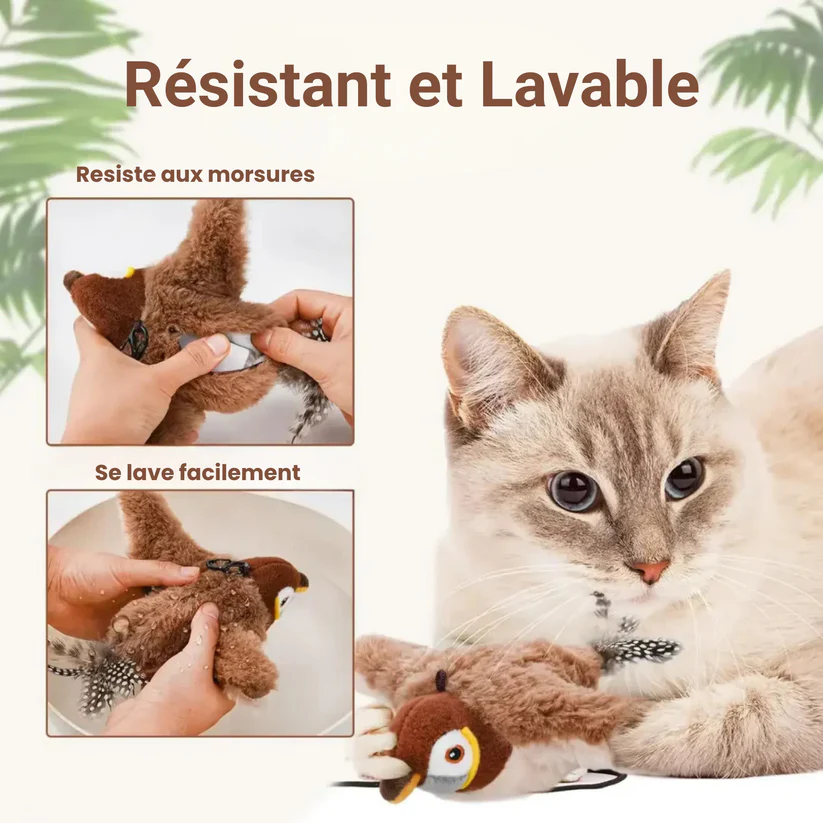 Oiseau Volant pour Chat