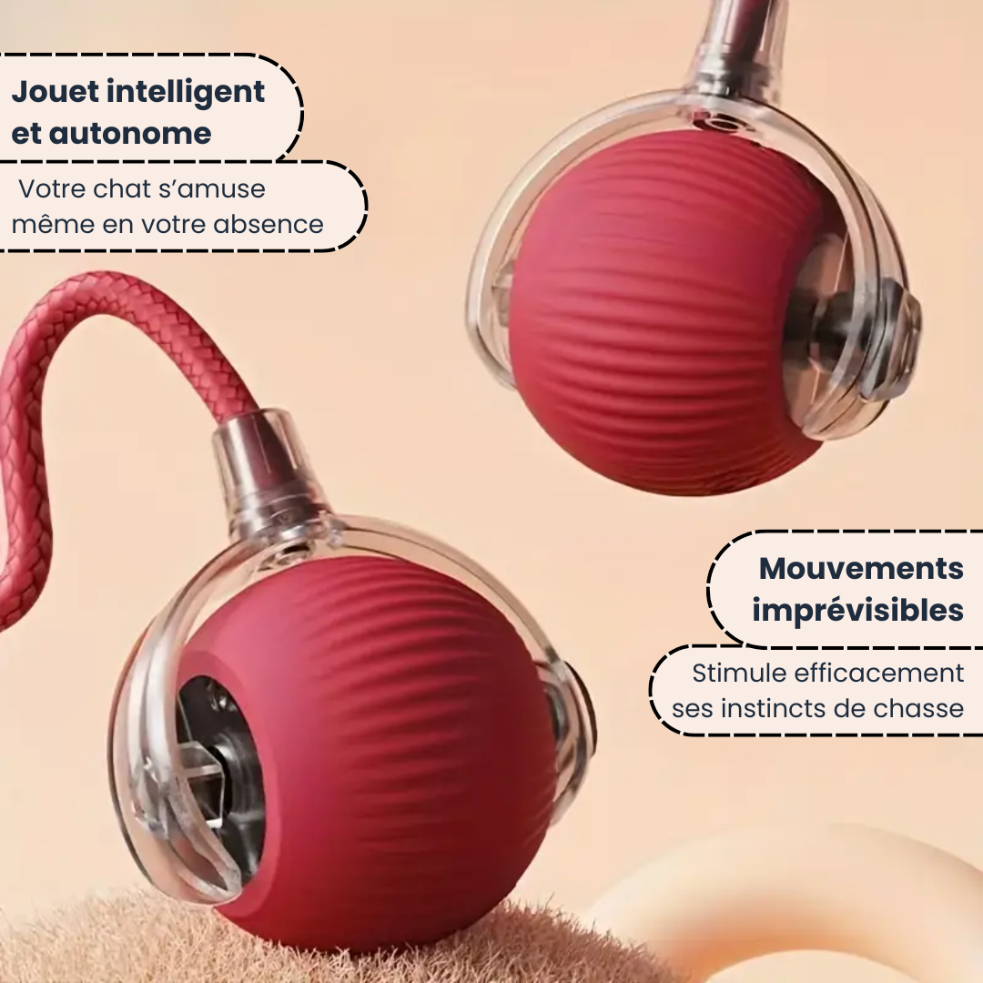 SmartBall™ - Jouet Interactif pour Chats