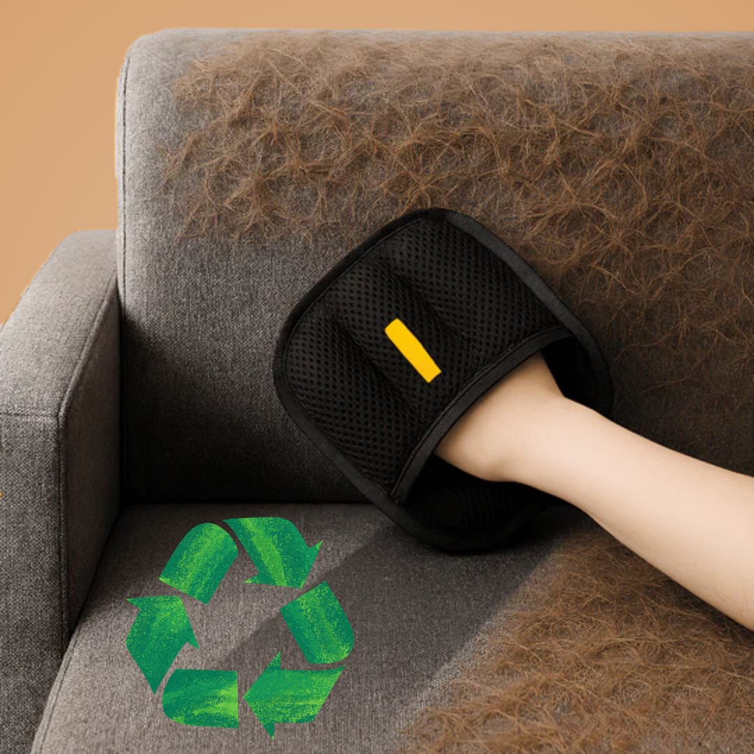 Eine verantwortungsvollere Wahl