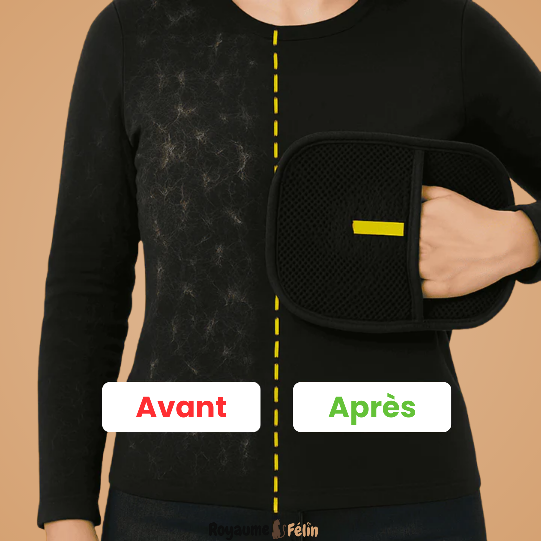 Gant statique attrape-poils