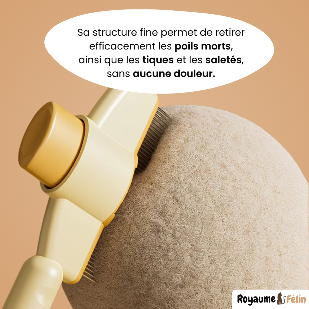 SmartBrush™ – Brosse anti-poils morts