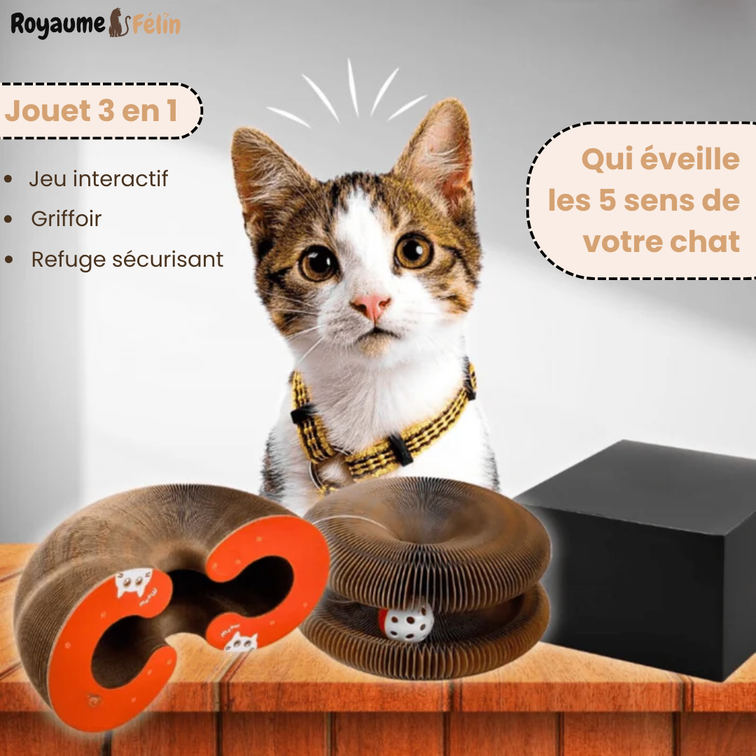 Jouet 3 en 1 - Le Tourbillon Félin™