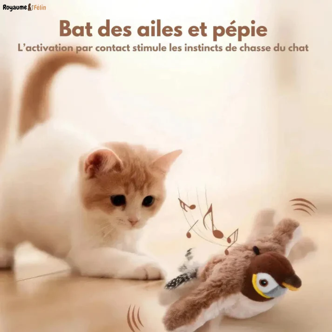 Oiseau Volant pour Chat