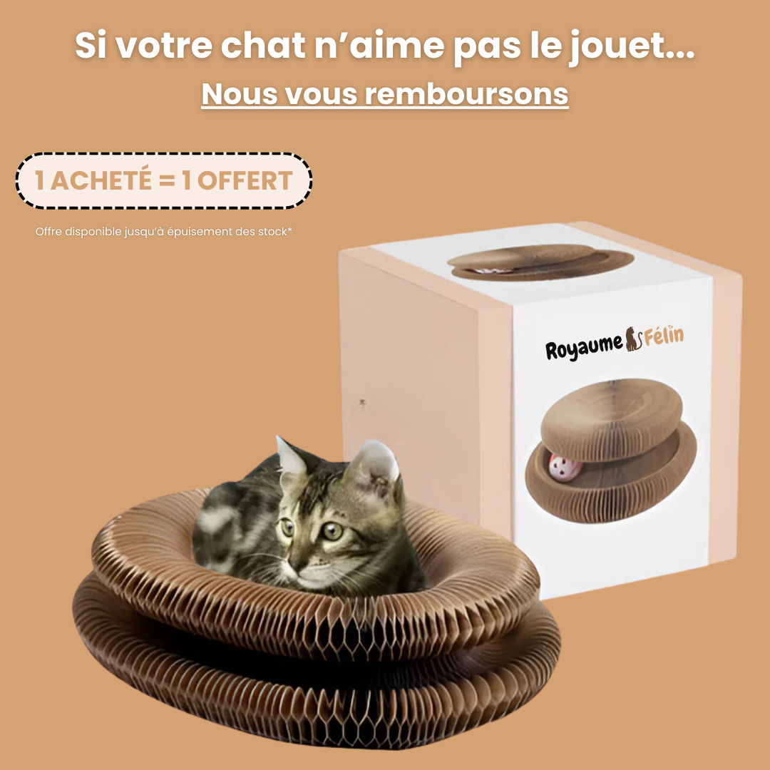 Jouet 3 en 1 - Le Tourbillon Félin™